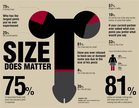 is my penis normal size